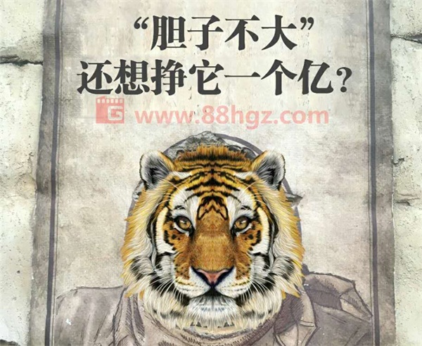 還能更高嗎？與迪瑪希共鳴的，是我們追隨企業(yè)宣傳片的信仰